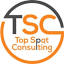 Top Spot Consulting logo