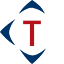 Trinus Corporation logo