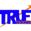 True Boost Digital logo