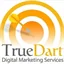 True Dart Digital Marketing Consulting logo