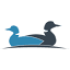 Two Loon Software logo