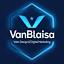 VanBlaisa Web Design & Digital Marketing logo