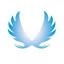 Vermögen Digital logo