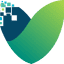 Vine Digital Ireland logo