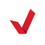 Virtualnetia logo