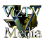 VizTV Media Services logo