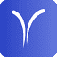 Vrinsoft Technology logo