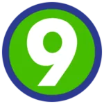 Web9 Technologies logo