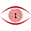 Webeye logo