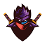 Web Ninja Solutions logo