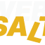 Websalty logo