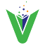 WebVidya Private Limited logo