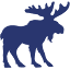 WILD MOOSE - Google Partner logo