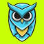 WISEO logo