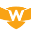 Wise Surge Digital Marketing logo