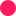 Candour logo