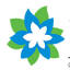 Xenia Consulting logo