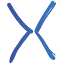 XPERIENTS Digital Agency logo