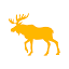 Yellow Moose logo