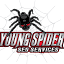 Young Spider SEO and Digital Marketing logo